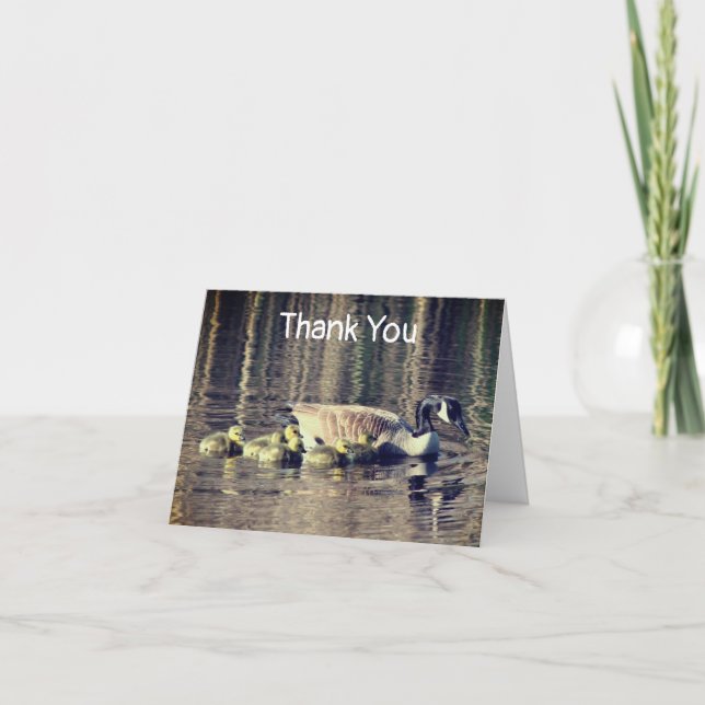 Canada Goose Babies Nature Thank You Card (Front)