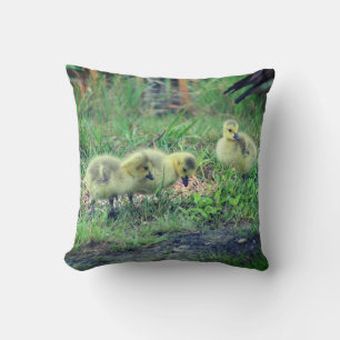 Canada Goose Babies Wildlife Cushion