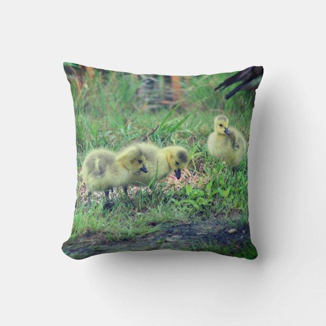 Canada Goose Babies Wildlife   Cushion (Front)