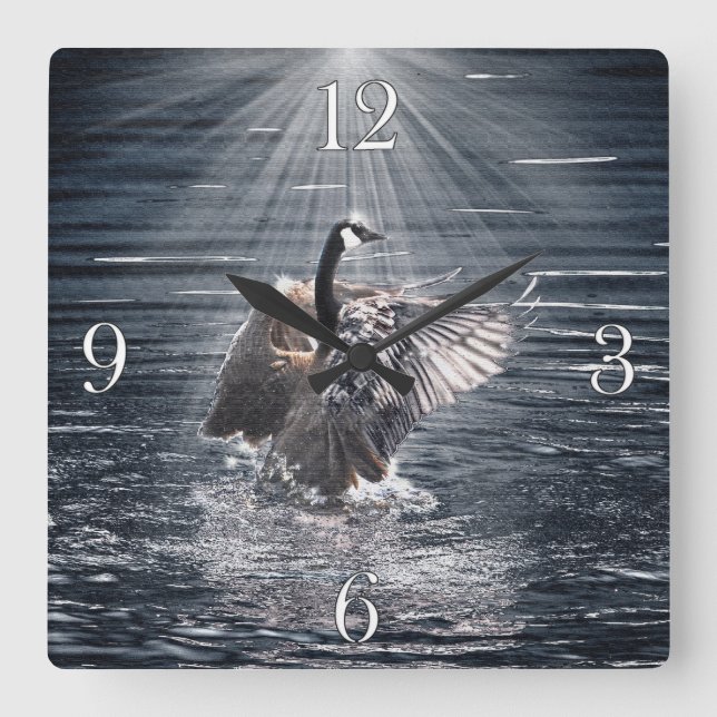 Canada Goose Bathing in a Lake Art Design Square Wall Clock (Front)