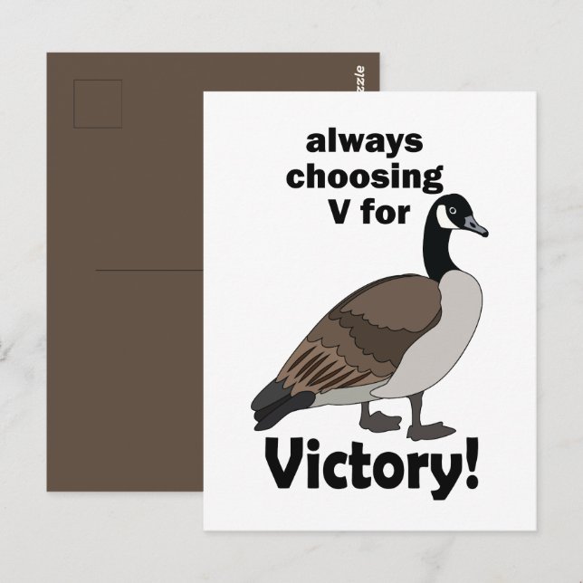 Canada Goose Bird Always Choosing V For Victory Postcard (Front/Back)