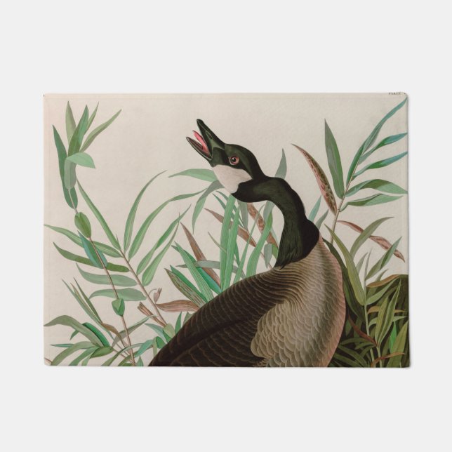 Canada Goose Birds of America Audubon Print Doormat (Front)