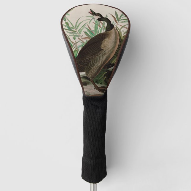 Canada Goose Birds of America Audubon Print Golf Head Cover (Front)