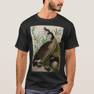Canada Goose Birds of America Audubon Print T-Shirt
