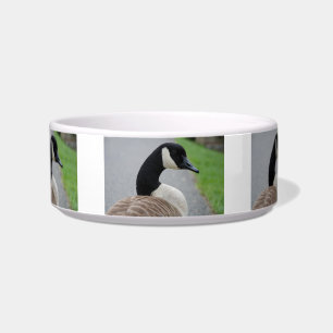 Canada goose bowl