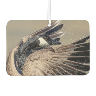 Canada Goose Car Air Freshener
