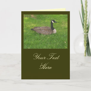 Canada Goose Card