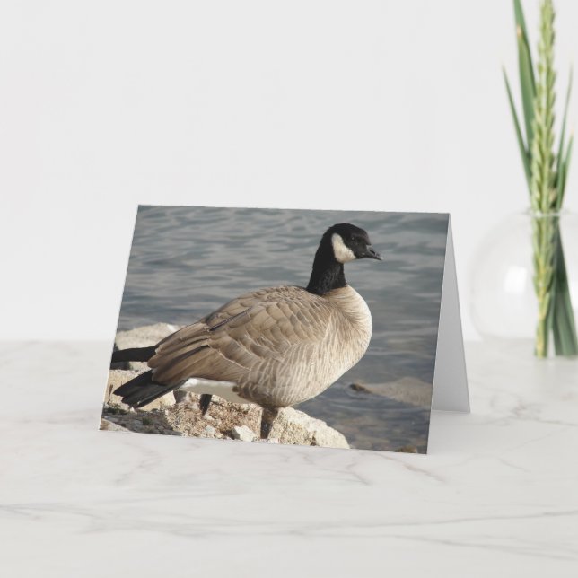Canada Goose Card (Front)