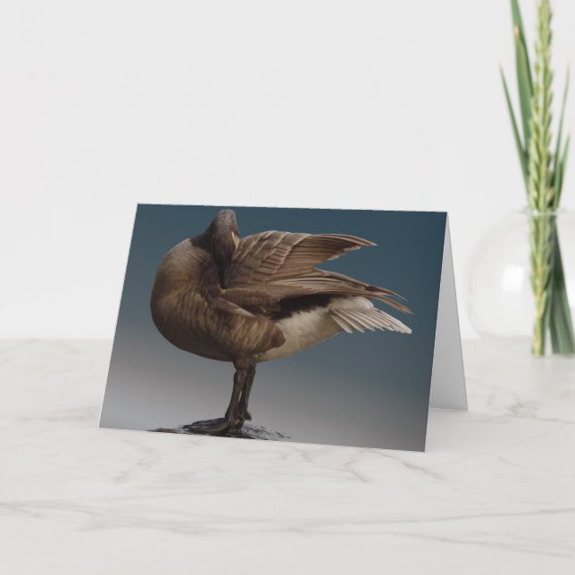 Canada Goose Cards Canada Geese Greeting Cards (Front)