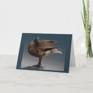 Canada Goose Cards Canada Geese Greeting Cards