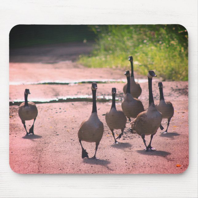 Canada Goose Family Nature  Mouse Mat (Front)