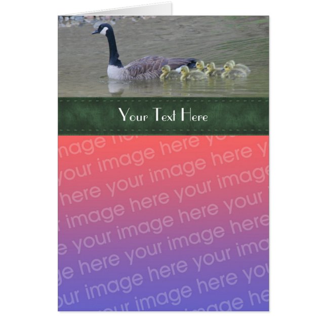 Canada Goose Family Nature Photo Card (Front)