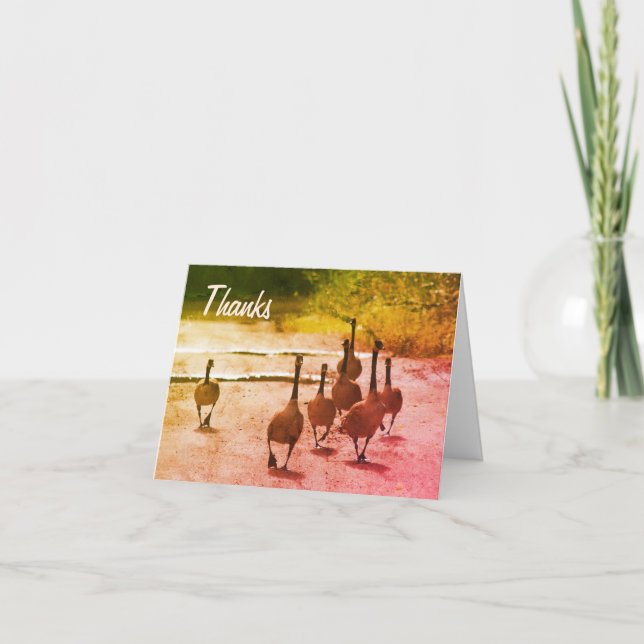Canada Goose Family Nature Thank You Card (Front)