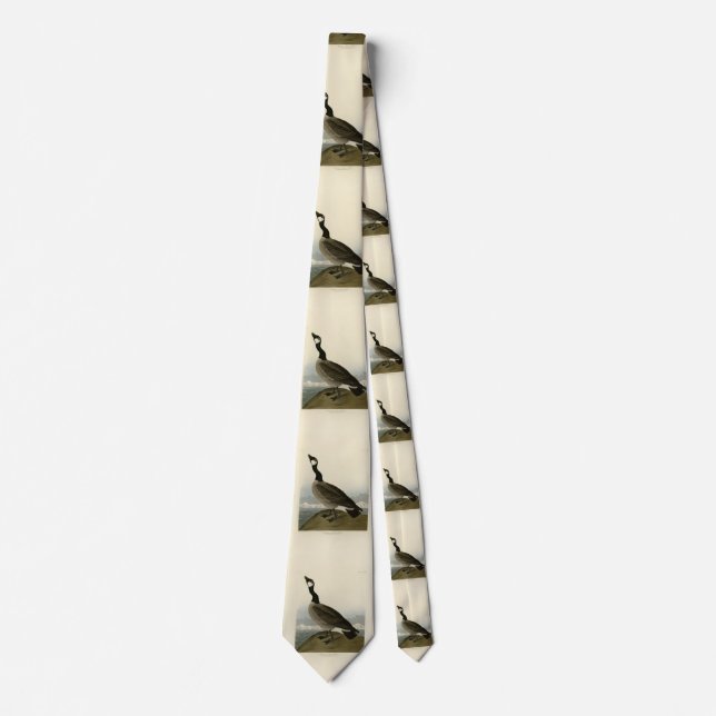 Canada Goose from Audubon's Birds of America  Tie (Front)
