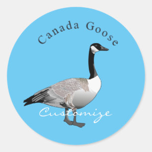 Canada Goose Gander Thunder_Cove Classic Round Sticker
