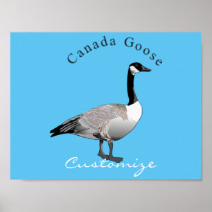 Canada Goose Gander Thunder_Cove Poster