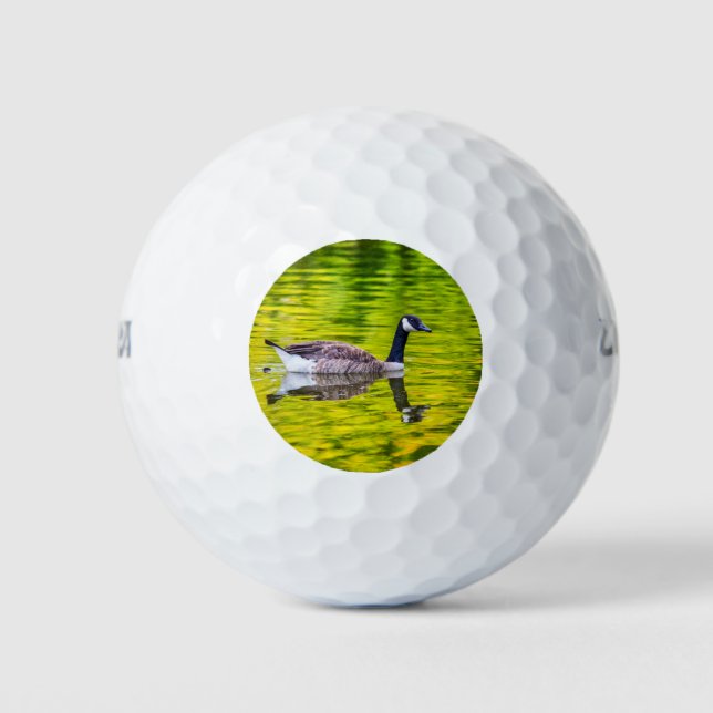 Canada Goose Golf Balls (Front)