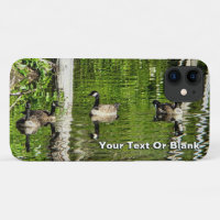 (Canada) Goose Green