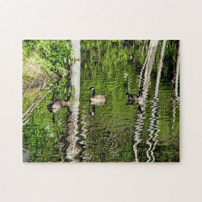 (Canada) Goose Green Jigsaw Puzzle (Horizontal)