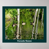 (Canada) Goose Green