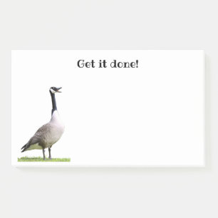 Canada Goose Honking Notes