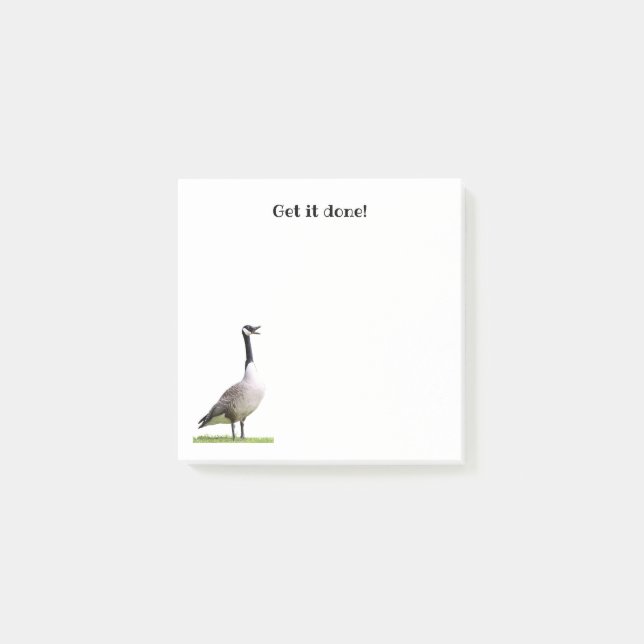 Canada Goose Honking Notes (Front)