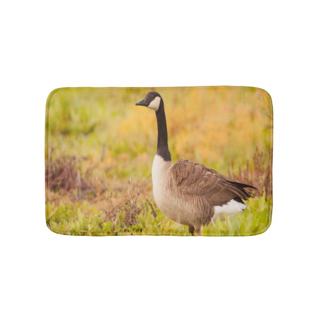 Canada Goose in colourful field Bath Mat (Front)