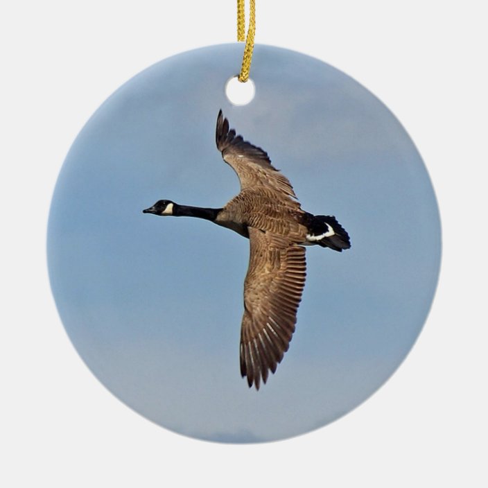 Canada Goose in Flight Christmas Ornament Zazzle.co.uk