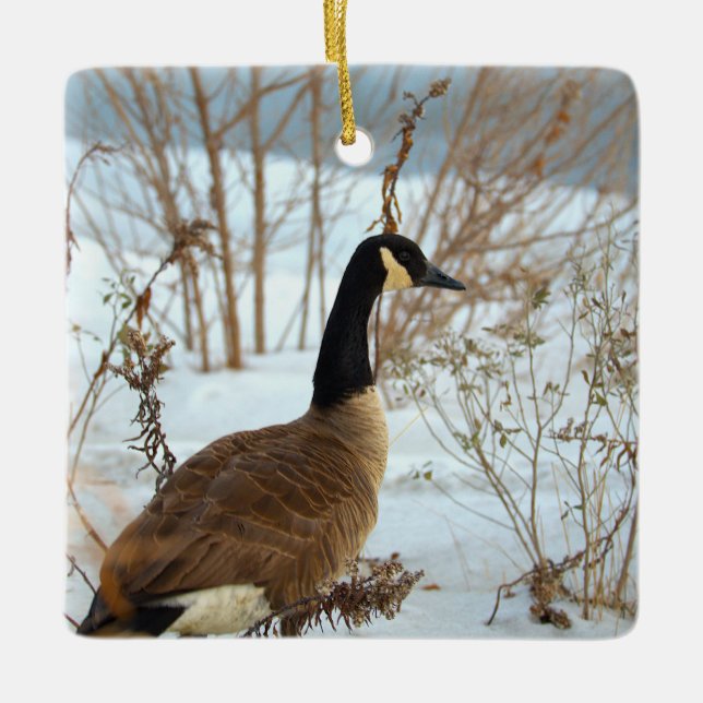 Canada Goose in Snow Ornament (Front)