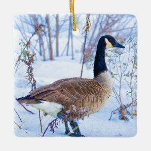 Canada Goose in Snow Ornament
