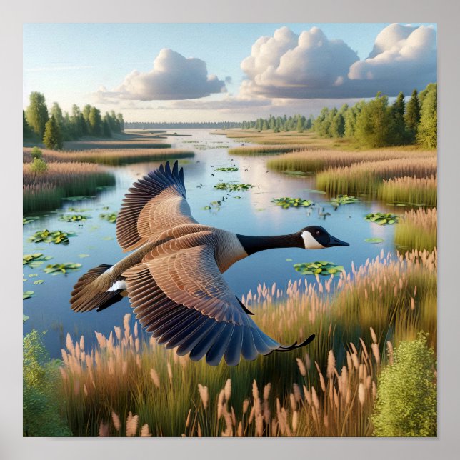 Canada Goose in Tranquil Wetlands Poster (Front)