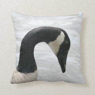 Canada Goose in Water Cushion