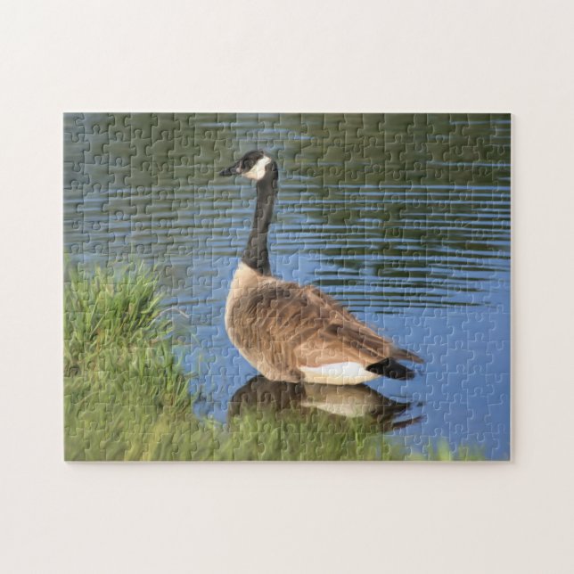 Canada Goose In Water Oil Painting  Jigsaw Puzzle (Horizontal)