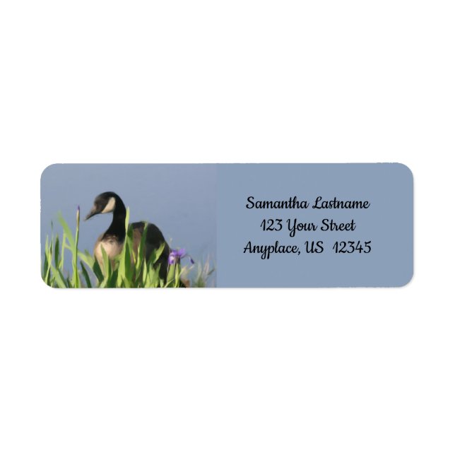 Canada Goose Irises Animal Art Address (Front)