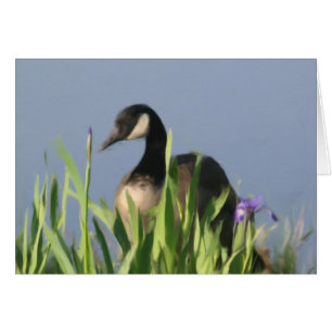 Canada Goose Irises Animal Art Card