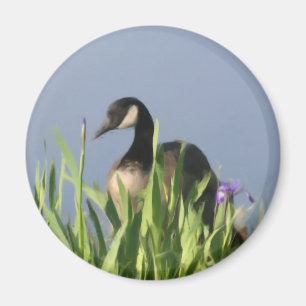 Canada Goose Irises Animal Art Magnet