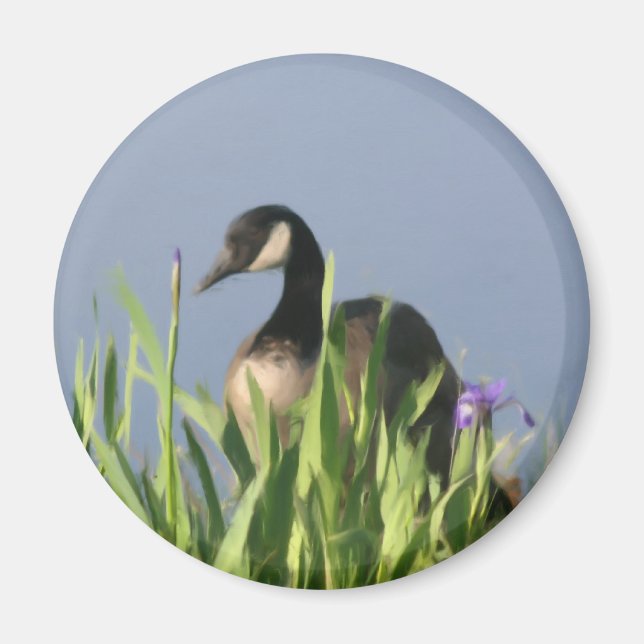 Canada Goose Irises Animal Art Magnet (Front)