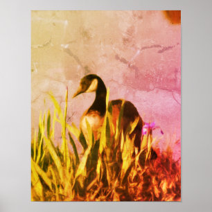 Canada Goose Irises Distressed Nature Art  Poster