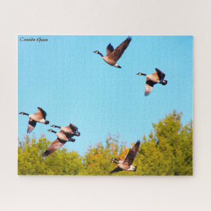 Canada Goose Jigsaw Puzzle