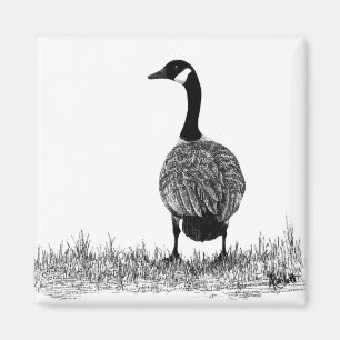 Canada Goose Magnet
