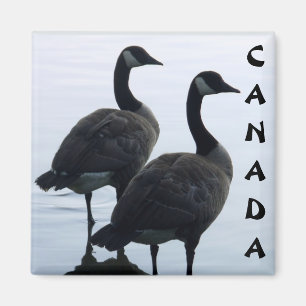 Canada Goose Magnet Canada Souvenir Fridge Magnets