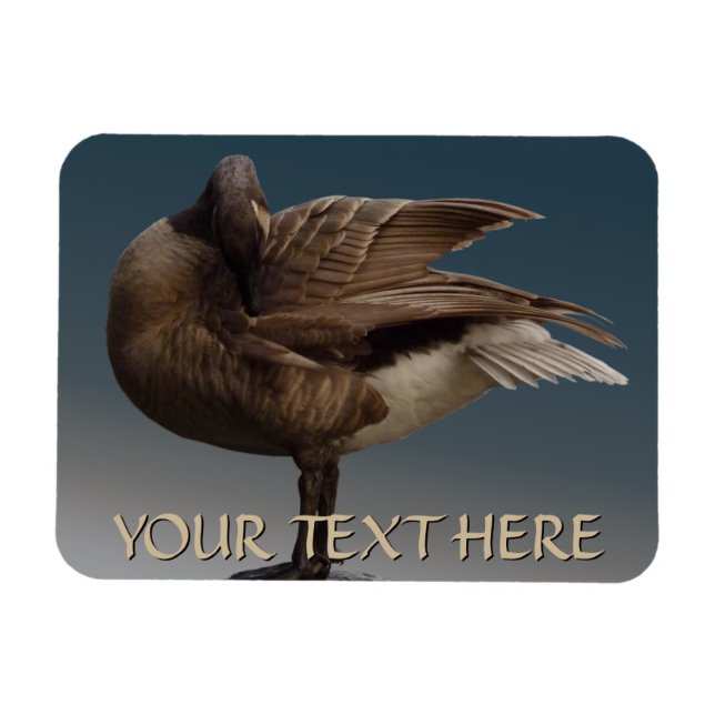 Canada Goose Magnet Canada Souvenir Fridge Magnets (Horizontal)