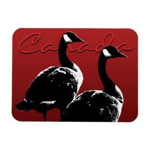 Canada Goose Magnet Canada Souvenir Fridge Magnets