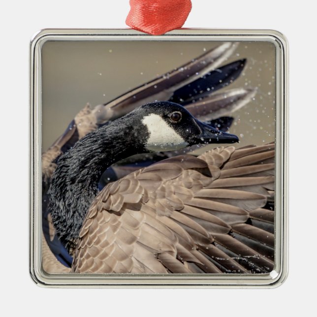 Canada Goose Metal Tree Decoration (Front)