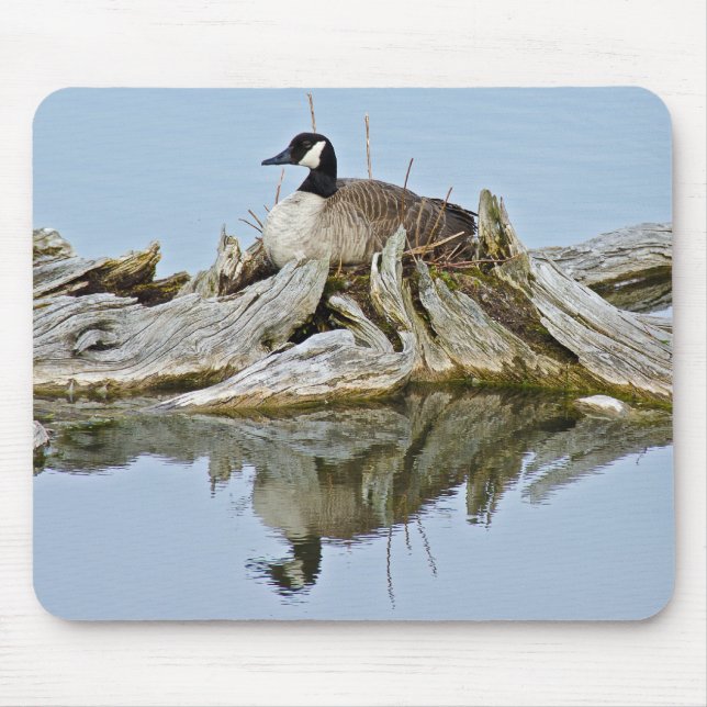 Canada Goose Mouse Mat (Front)