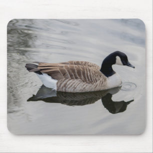 Canada Goose Mouse Mat