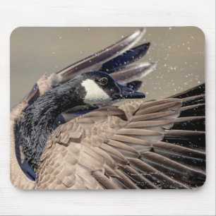 Canada Goose Mouse Mat