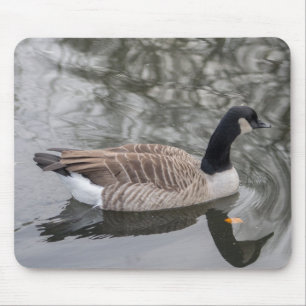 Canada Goose Mouse Mat