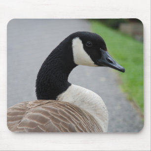 Canada goose mouse mat