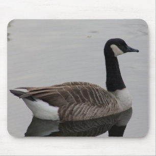 Canada Goose Mouse Mat